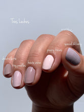 Load image into Gallery viewer, Box of Chawkulits - Tres leches